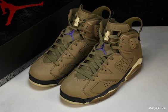 Jordan Kelp Brown 6 FD1643-300  Gore-Tex FD1643-300 Retro 0817